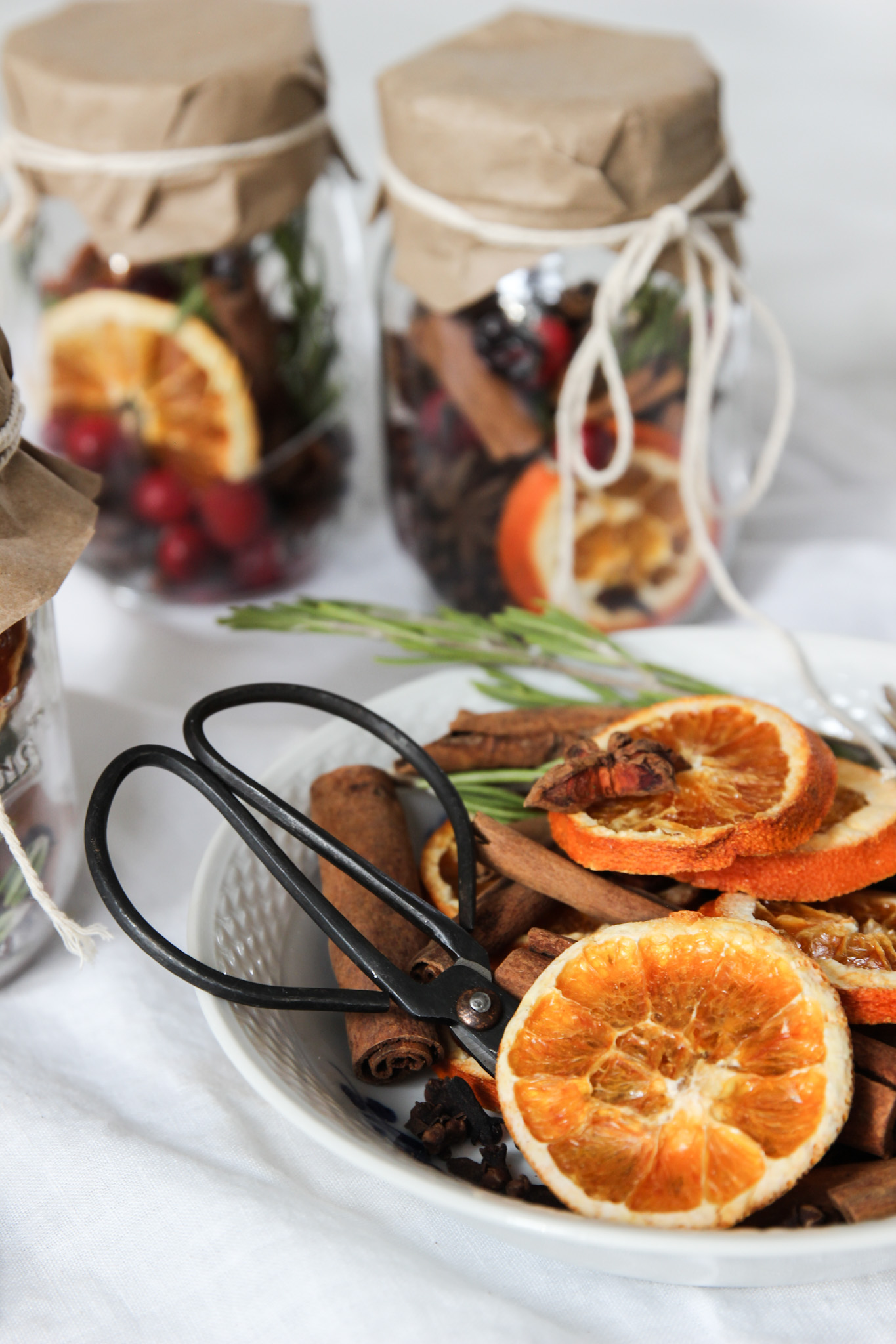 Inexpensive Gift Idea: CHRISTMAS SCENT Simmering Potpourri