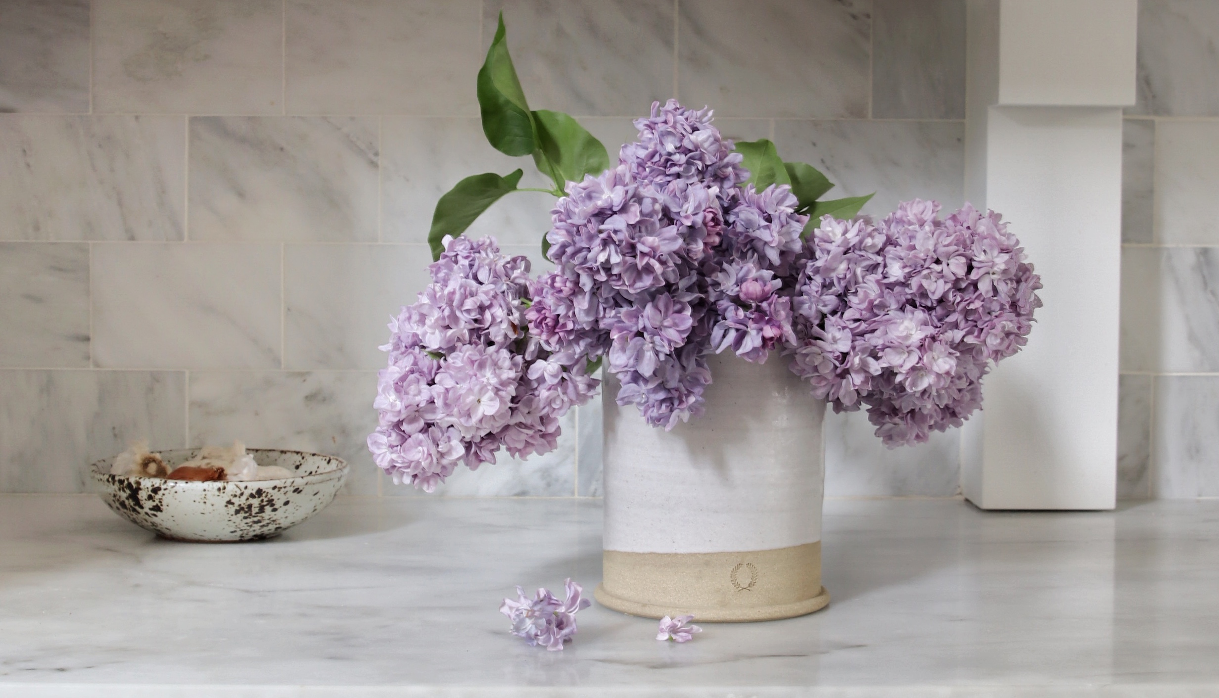 how to arrange your lilac and keep them from wilting