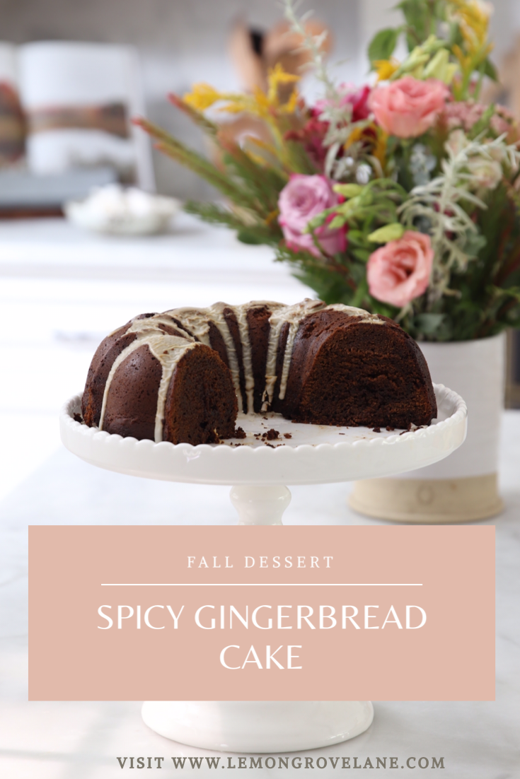 spicy gingerbread cake