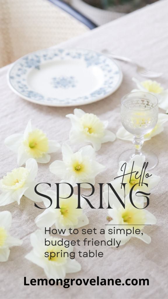 how to set a simple and budget friendly spring table