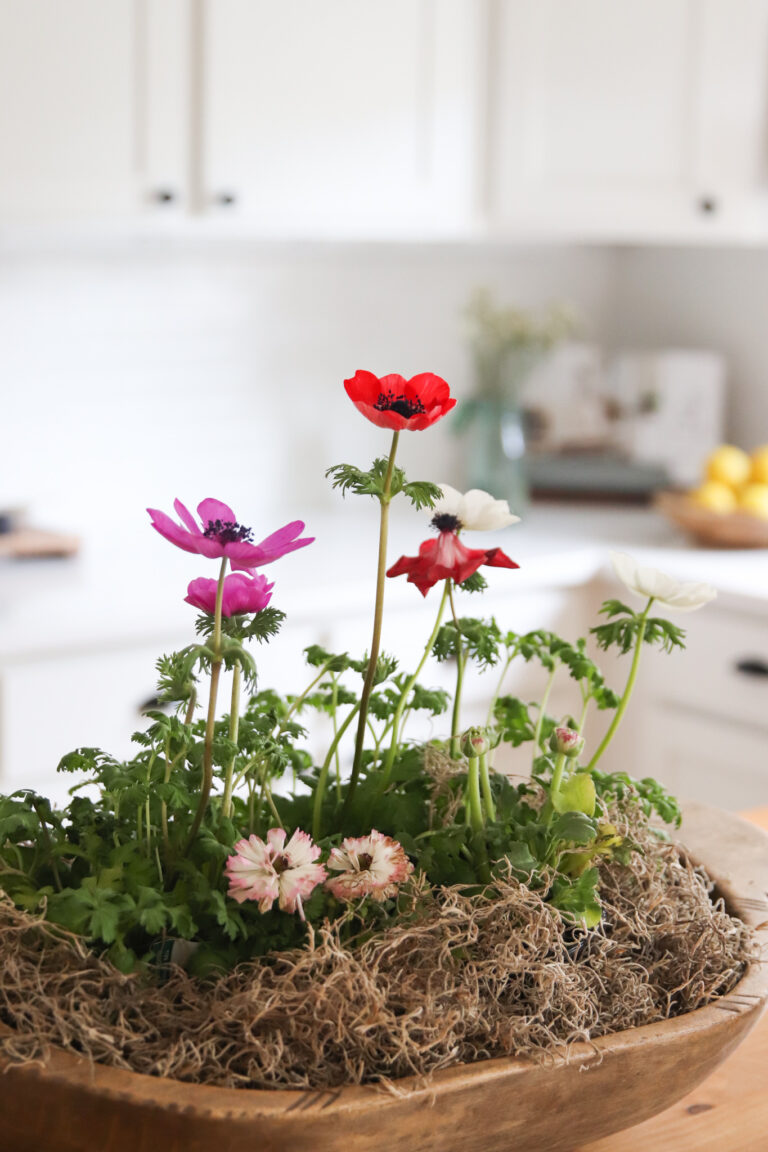 Easy ways to add spring farmhouse decor to your kitchen