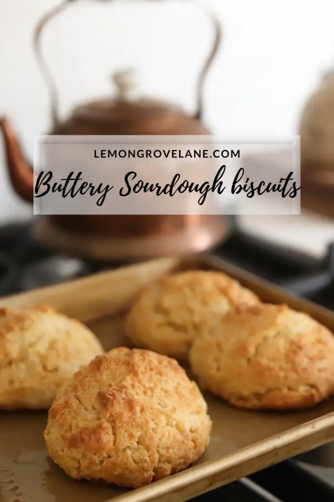 Buttery sourdough biscuits