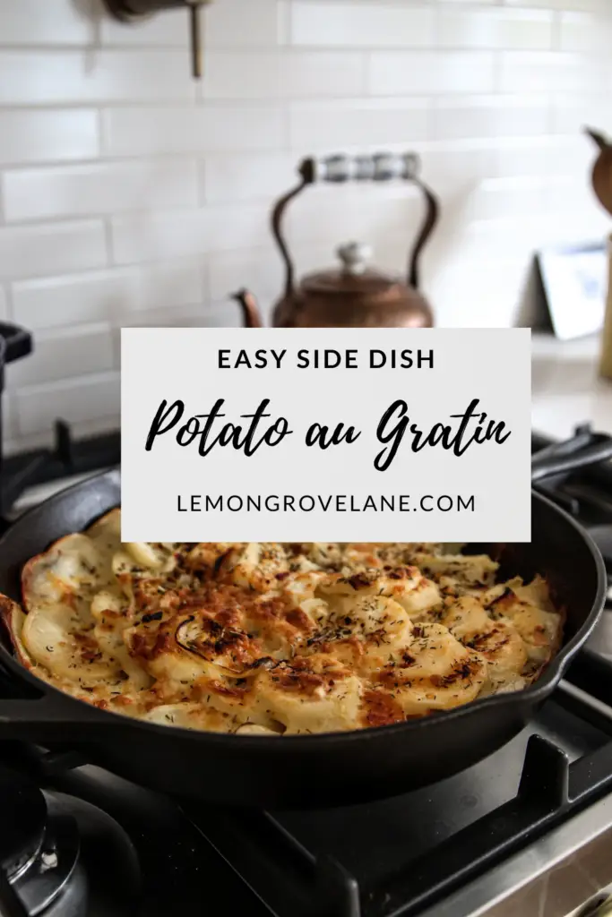 potato au gratin