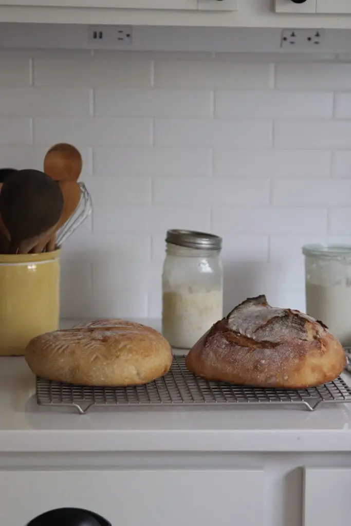 how to make bread with sourdough starter