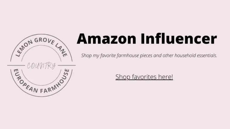 amazon influencer