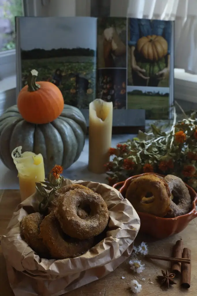 baked pumpkin donuts