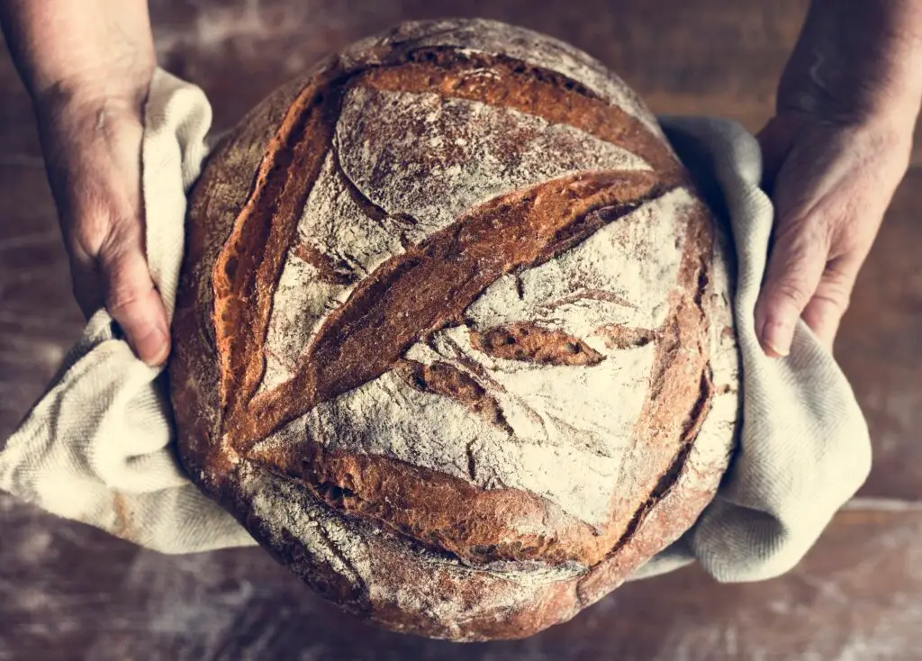 chocolate sourdough bread