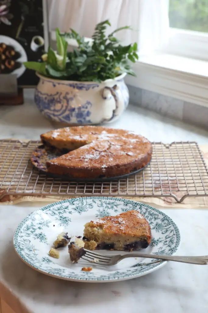 blueberry breakfast cake