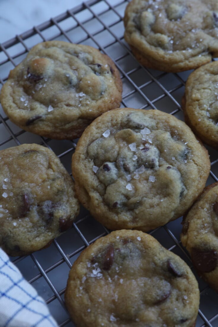 soft chocolate chip cookies