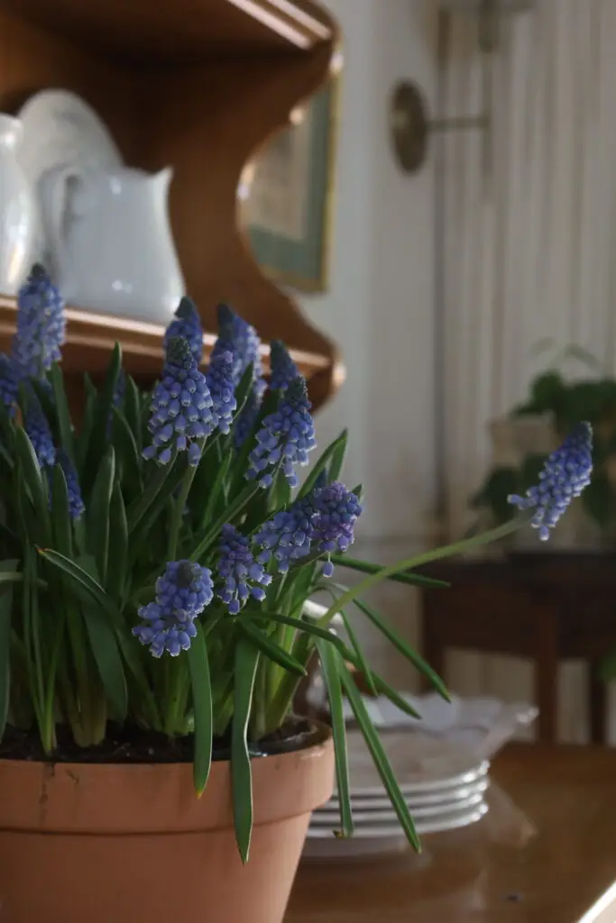 blue and white Easter table setting