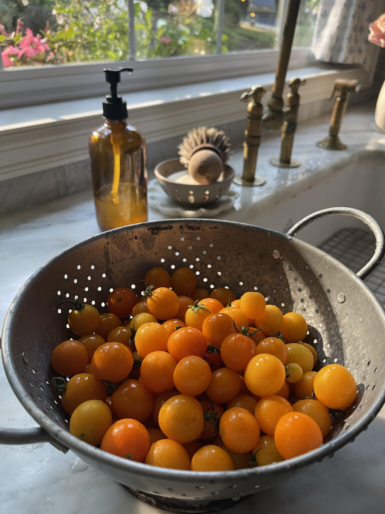 sungold pasta salad