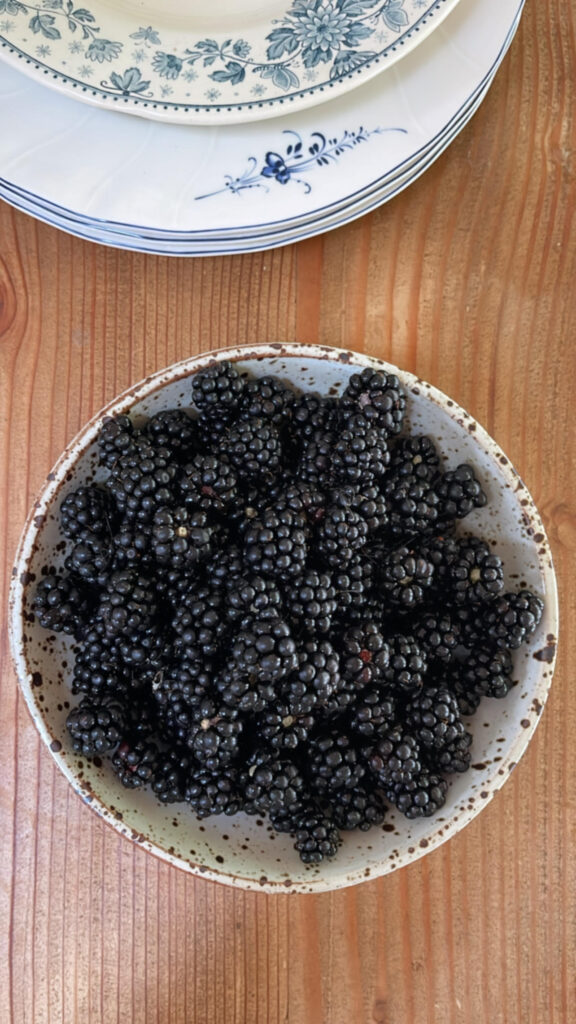 Blackberry Peach Galette