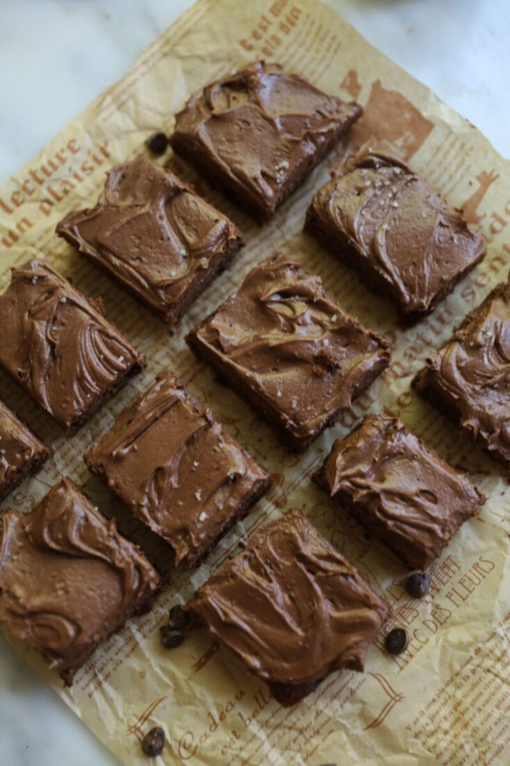 School Lunch Frosted Fudge Brownies
