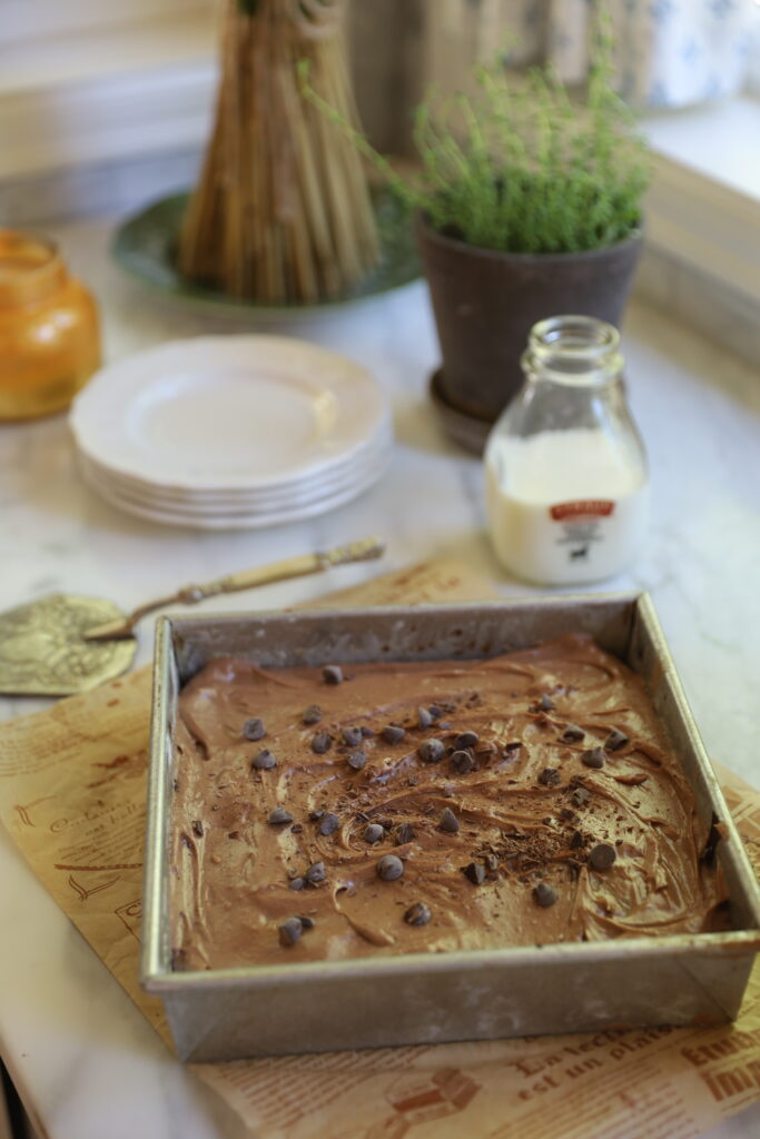 Single Layer Chocolate Mocha Cake