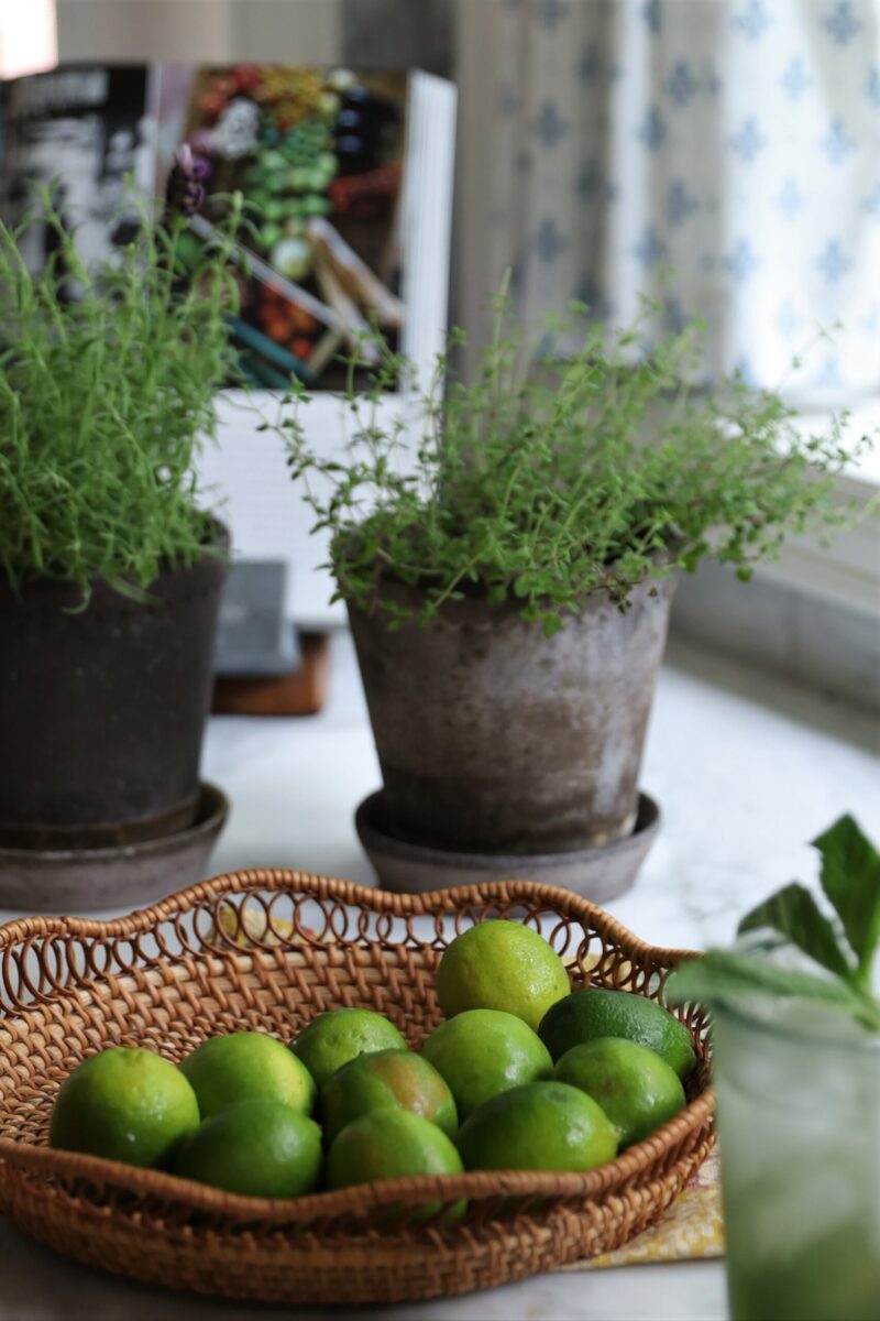 Lime & Mint Electrolye Mocktail