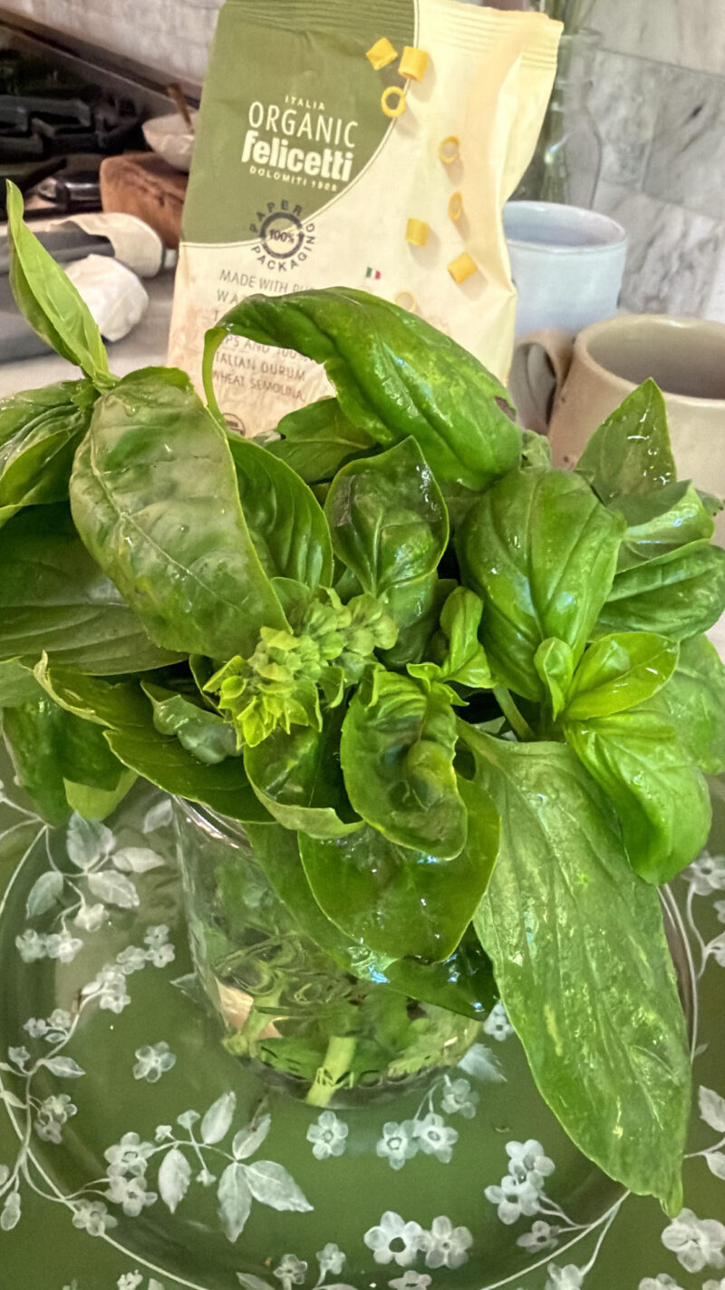 Easy Pesto Pasta