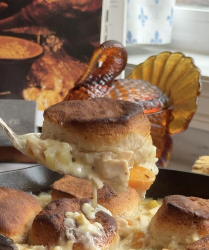 Rotisserie Chicken Pot Pie with Golden Biscuits