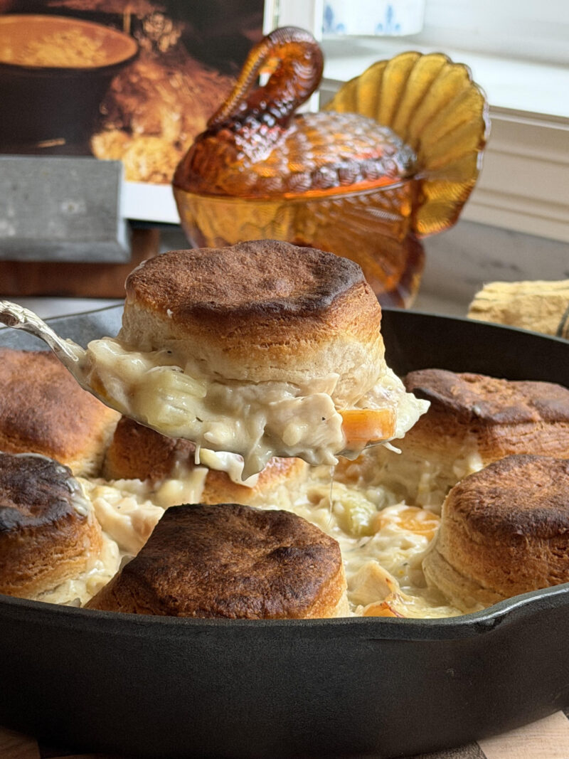 Rotisserie Chicken Pot Pie with Golden Biscuits